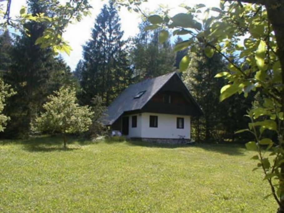 Apartment Lake Bohinj No. 5 Kültér fotó